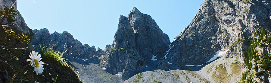 Il nostro primo Cimon della Bagozza (2408 m.) il 30 giugno 2013