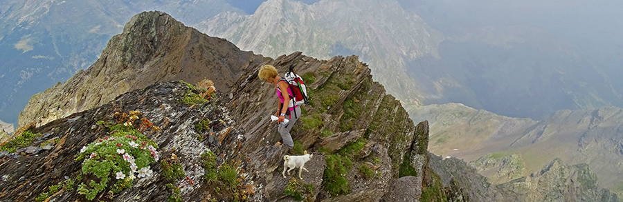 Passaggi in cresta con appoggi