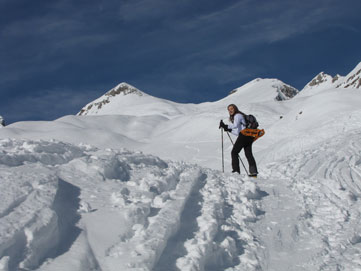 Salita invernale dalla Malga Polzone (1570 m.) al Passo del Pizzo di Petto (2200 m.) merc. 27 gennaio 2010 - FOTOGALLERY