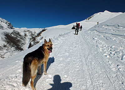 Salita dai Fondo di Schilpario al Passo Campelli (1892 m) e al Monte Campioncino (2100 m.) il 10 febbraio 2013 - FOTOGALLERY