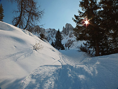 Salita dai Fondo di Schilpario al Passo Campelli (1892 m) e al Monte Campioncino (2100 m.) il 10 febbraio 2013 - FOTOGALLERY