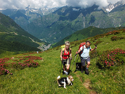 L’ANELLO DELLA MANINA (1821 m.) con SASNA (2229 m.) da Lizzola l’11 luglio 2013  - FOTOGALLERY