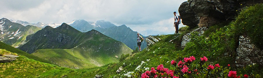 in discesa dal Monte al Passo di Sasna