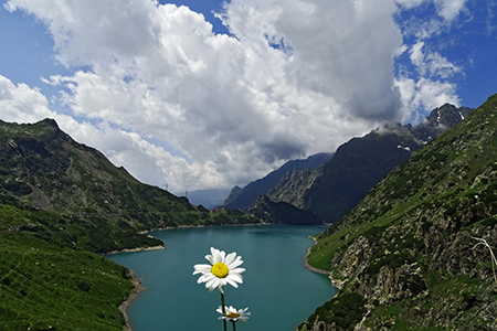 Ai rifugi e laghi del Barbellino…spettacolo assicurato ! L’8 luglio 2015 - FOTOGALLERY
