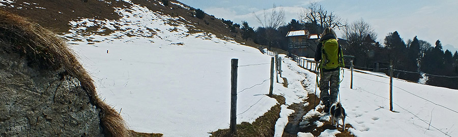 Andiamo a vedere il lago