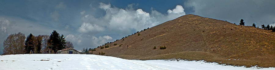 Salita al MONTE COLOMBINA (1459 m.) da Bossico il 3 aprile 2013