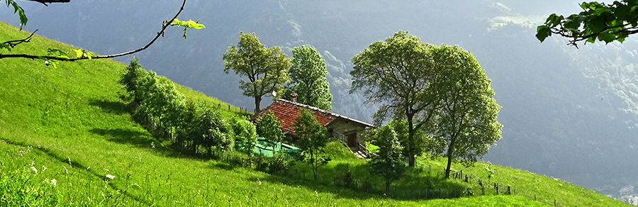 Scorcio suii prati di Cacciamali