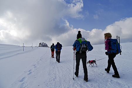 Bel ritorno al Magnolini e sul Monte Alto il 12 marzo 2016  - FOTOGALLERY