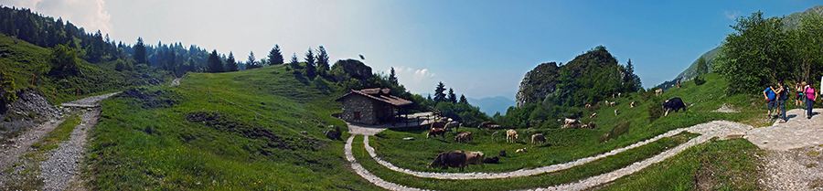 Malga Pozzetto (1399 m)