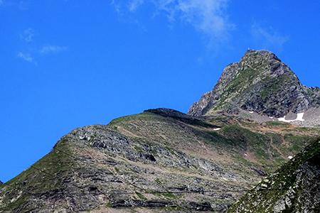 Pizzo Pradella (2626 m) con tanti bei fiori, salito da Valgoglio il 9 luglio 2016 - FOTOGALLERY