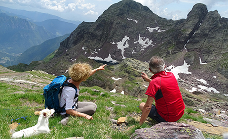 Pizzo Pradella (2626 m) con tanti bei fiori, salito da Valgoglio il 9 luglio 2016 - FOTOGALLERY