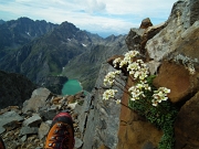 PIZZO RECASTELLO (2886 m.) OK ! l'8 settembre 2011- FOTOGALLERY