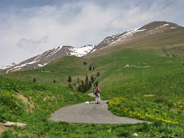 Salita primaverile da Parre al Rifugio Vaccaro e verso Cima Vaccaro il 13 maggio 2009 - FOTOGALLERY 