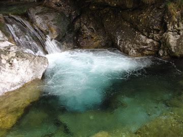 Splendida Val Vertova! Sul sentiero 527 fino al Sedernèl e Bivacco Testa con discesa dal sentiero 529 dal Passo di Bliben il 25 aprile 2010 - FOTOGALLERY 