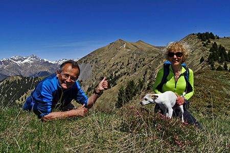Anello-cavalcata Timogno- Benfit- Avert- Passo Omini da Valzurio il 4 maggio 2016 - FOTOGALLERY