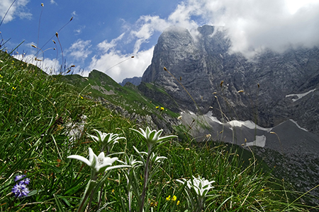 Al Rifugio Albani a scavalco della Valle Azzurra, salita in tutta la sua estensione il 23 giugno 2015 - FOTOGALLERY