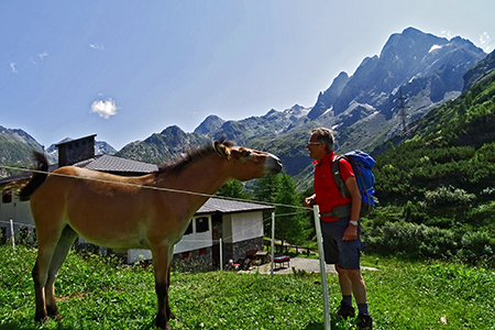 Ai rifugi e laghi del Barbellino…spettacolo assicurato ! L’8 luglio 2015 - FOTOGALLERY