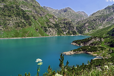 Ai rifugi e laghi del Barbellino…spettacolo assicurato ! L’8 luglio 2015 - FOTOGALLERY