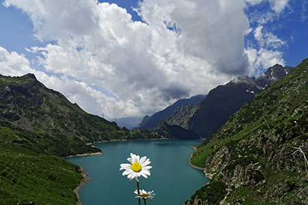 Ai rifugi e laghi del Barbellino…spettacolo assicurato ! L’8 luglio 2015 - FOTOGALLERY