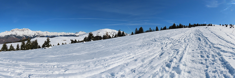 Salendo al Monte Alto vista panoramica da sx in Presolana-Monte Pora-Monte Alto