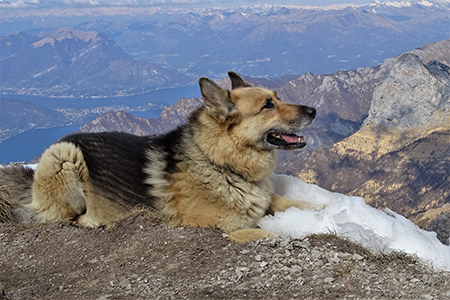 In GRIGNETTA (2177 m) ad anello Cresta Cermenati – Sentiero delle Capre dal Pian dei Resinelli il 27 marzo 2019 - FOTOGALLERY