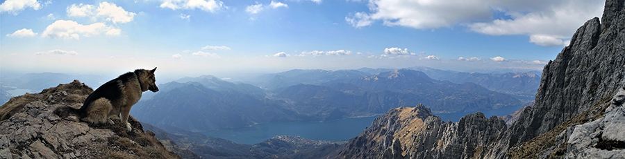 Panorama verso la Cresta Segantini e il Lago di Como
