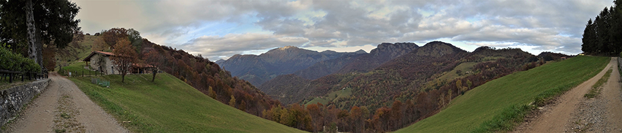 Sulla strada agrosilvopastorale per Casera di Muschiada partendo dalla Culmine S. Pietro