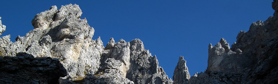 Sguardo verso l'alto