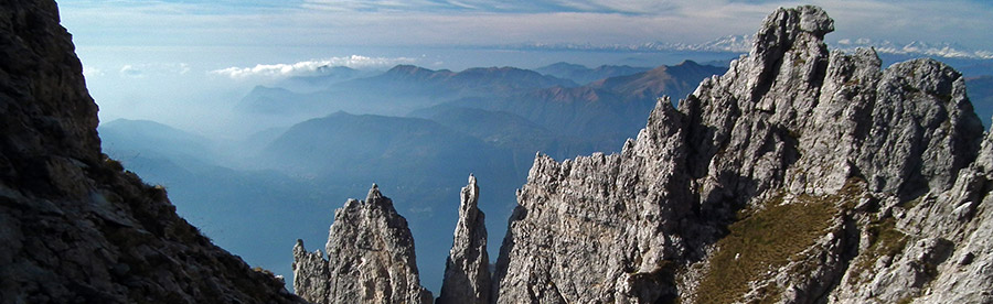 ...l'Ago Teresita...