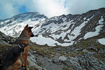 In GRIGNONE, versante nord, da Cainallo sui sentieri estivi 24 Rif. Bietti e 25 Rif. Bogani dom. 29 maggio 2011 - FOTOGALLERY