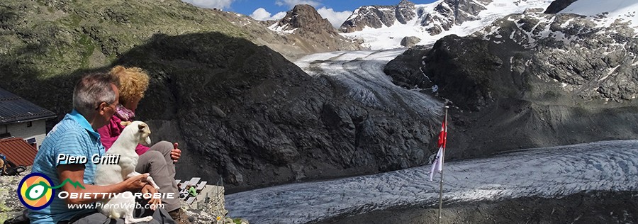 54-Il-ghiacciaio-del-Pers-si-unisce-a-quello-del-Morteratsch.jpg