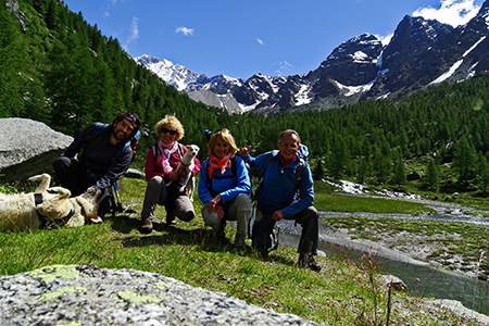 Al Rif. Ponti (2559 m), il rifugio del Disgrazia, dalla Valle di Preda Rossa il 23 giugno 2015 - FOTOGALLERY