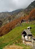 Colori d'autunno alle Baite del Redorta