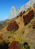 Caldi colori autunnali