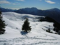 Domenica di neve e sole...con valanga, ai Piani dell'Avaro (20 gennaio 08)