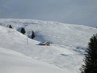 Domenica di neve e sole...con valanga, ai Piani dell'Avaro (20 gennaio 08)