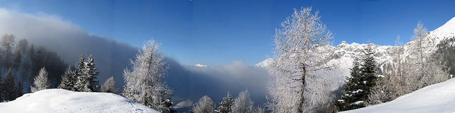 PIANI DELL'AVARO - SCI NORDICO - gennaio 2013 - FOTOGALLERY