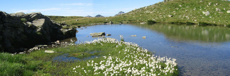 Salita da Foppolo al Corno Stella e giro dei laghi del Montebello il 5 settembre 2009 - FOTOGALLERY