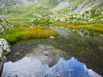 Piani dell'Avaro - Laghetti di Ponteranica - 14 agosto 2012 - FOTOGALLERY