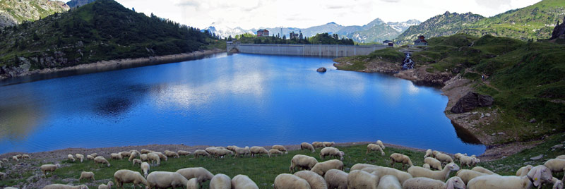 Gregge ai Laghi Gemelli