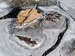  Isola nel ghiaccio allla Pozza di Monte Campo 