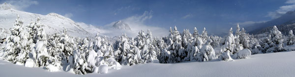 Neve immacolata al Passo del Maloja in alta Engadina (Svizzera) - foto Andrea Gervasoni