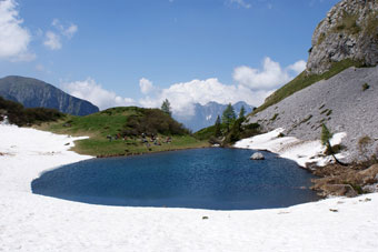 Da Tezzi Alti di Gandellino salita in Val Sedornia al Lago Spigorel e al Rif. Mirtillo il 2 giugno 2009 - FOTOGALLERY