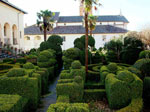 Sagome in bosso nel giardino - foto Armando Lombardi