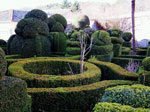 il 'labirinto' del giardino - foto Armando Lombardi