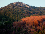 Colori autunnali in pieno inverno - foto Armando Lombardi