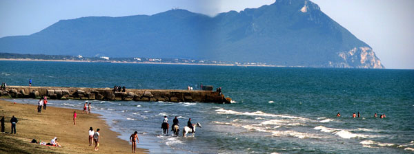 Spiaggia di Sabaudia con cavalli al mare - foto Armando Lommardi 25 aprile 08