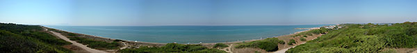 Panoramica sul litorale di Sabaudia, ricco di dune e vegetazione spontanea - foto Armando Lombardi