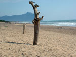 Il totem della spiaggia di Sabaudia - foto Armando Lombardi
