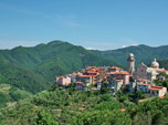 Ortonovo (La Spezia)...da Armando LombardiTusilago tartara bianca - foto Luigi Giupponi